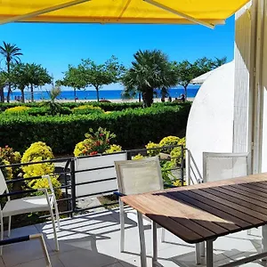 Oasis B3 Rosas
